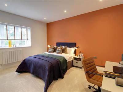 Picture 21